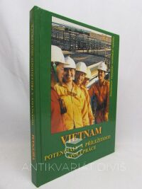 kolektiv, autorů, Vietnam: Potenciály a příležitosti spolupráce, 2006
