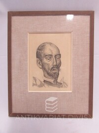 Švengsbír, JIří, Don Quijote, 0