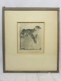 Hofbauer, Arnošt, Černý pardál, 1902