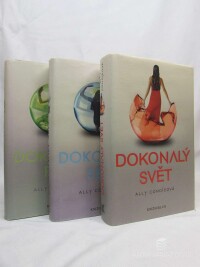 Condleová, Ally, Dokonalý pár, Dokonalý sen, Dokonalý svět, 2013