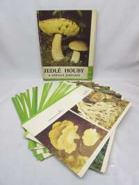 Erhart, Josef, Kult, Karel, Jedlé houby a některé jedovaté - soubor 33 volných listů, 1983