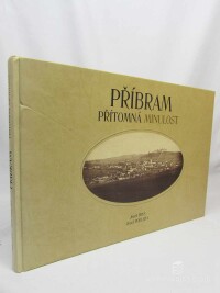Fryš, Josef, Podlaha, Josef, Příbram: Přítomná minulost, 2004