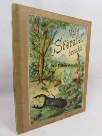 Borecký, Václav Novák, Malý Sběratel brouků, 1891