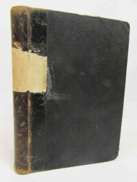 Komenský, Jan Amos, Labyrint světa a ráj srdce, 1906
