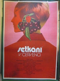 Vaca, Karel, Setkání v červenci, 1978