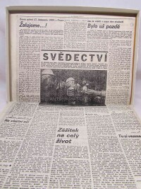 Gabrielová, M., Černý pátek 17. listopadu 1989 v Praze: Žalujeme...!, 1989