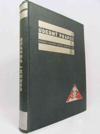 Vejnar, Jindřich, Úderný prapor: Kronika prvního úderného praporu sibiřských legií, 1930