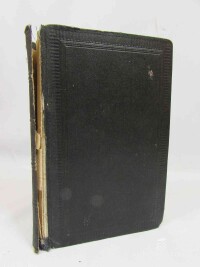 kolektiv, autorů, Biblí svatá aneb Všecka svatá písma Starého i Nového Zákona podle posledního vydání kralického z roku 1613, 1942