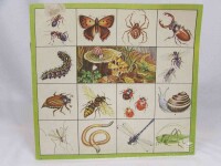kolektiv, autorů, Pexeso Rostliny a živočichové v lese, 0