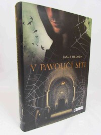Hrdoun, Jakub, V pavoučí síti, 2017