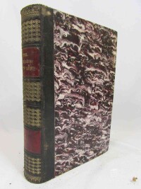 Winter, Zikmund, Život církevní v Čechách: Kulturně-historický obraz z XV. a XVI. století, svazek první, 1895