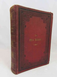 Schweiger-Lerchenfeld, Amand von, Das Eiserne Jahrhundert, 1885