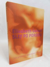 Geisel, Elisabeth, Slzy po porodu: Jak překonat depresivní nálady, 2004