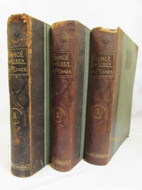 Francé, Raoul Heinrich, Das Pflanzenleben Deutschlands und seiner Nachbarländer, Band I, II, III, 1906