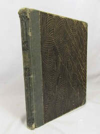 kolektiv, autorů, Česká dívka + Vzory ženských ručních prací - ročník IX. č. 1-10, 1913