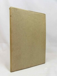 Marten, Miloš, Nad městem, 1917