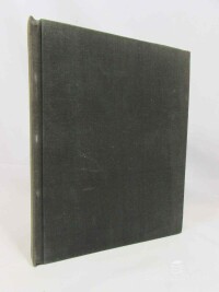 Hypšman, Bohumil, Sto let staroměstského rynku a radnice, 1946