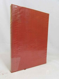 Kukla, Karel Ladislav, Město zatracenců (Bílý hrad) - román z nynější Prahy poválečné - lidí bez bytů a bez zaměstnání, 1933