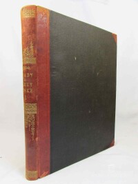 Sedláček, August, Hrady, zámky a tvrze Království českého, díl IV: Vysočina táborská, 1885
