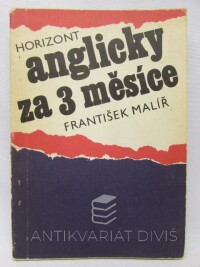 Malíř, František, Anglicky za 3 měsíce, 1990