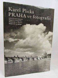 Lafferty, Peter, Síla a pohyb, 1995