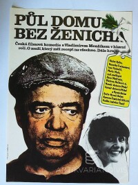 Foll, Dobroslav, Půl domu bez ženicha, 1980