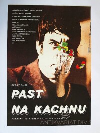 Chalabala, Petr, Past na kachnu, 1978