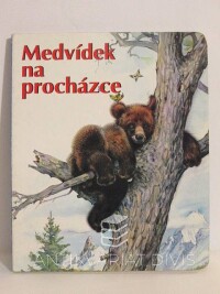 kolektiv, autorů, Medvídek na procházce, 2004