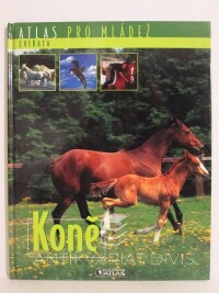 kolektiv, autorů, Koně, 2006