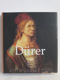 kolektiv, autorů, Dürer, 2013