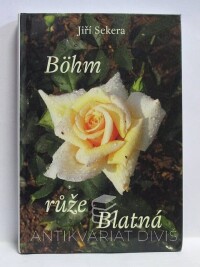 Sekera, Jiří, Böhm růže Blatná, 2013