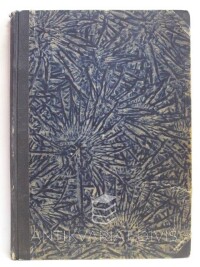 kolektiv, autorů, Mladý konstruktér, ročník I (čísla 1-10), 1941