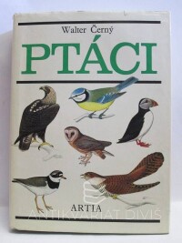 Černý, Walter, Ptáci, 1980