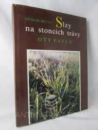 Fiala, Jan Šimon, Slzy na stoncích trávy Oty Pavla, 1990