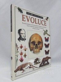 Gamlin, Linda, Evoluce, 1993