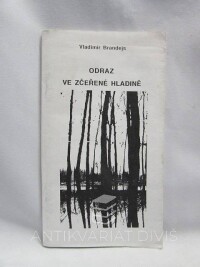 Brandejs, Vladimír, Odraz ve zčeřené hladině, 1997