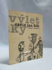 Žák, David Jan, Výlet zpátky, 1996