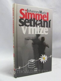 Simmel, Johannes Mario, Setkání v mlze, 1995