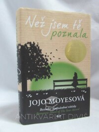 Moyesová, Jojo, Než jsem tě poznala, 2013