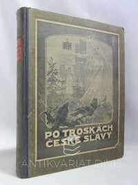 Tomek, V. V., Schäfer, Ot., Páta, František, Kamenický, Jan, Po troskách české slávy: Hrady, zámky a tvrze české, jich založení, dějiny, pověsti a poklady umělecké, 1916