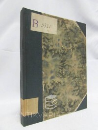 Mareš, Michal, Internacionální patriot: Pan Václav Doma, 1931
