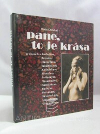 Dočekal, Boris, Pane, to je krása, 1998