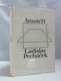 Pecháček, Ladislav, Amatéři: Jak přichází svět o básníky, 1980