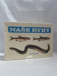kolektiv, autorů, Naše ryby, 0
