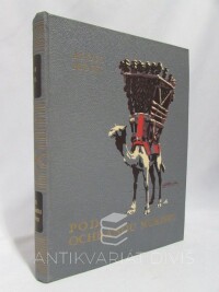 Musil, Alois, Pod ochranou Núriho: Z mých cest Pustou Arabií, 1929