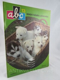 kolektiv, autorů, ABC mladých techniků a přírodovědců ročník 33, číslo 13, 1989