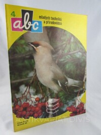 kolektiv, autorů, ABC mladých techniků a přírodovědců ročník 34, číslo 4, 1989