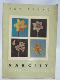 Tykač, Jan, Narcisy, 1969