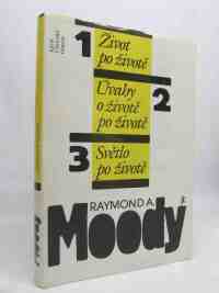 Moody, Raymond A., Život po životě, Úvahy o životě po životě, Světlo po životě, 1991