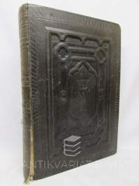 kolektiv, autorů, Nová postila: Výklady Písma svatého na každý den v roce, 1924